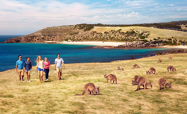 【一家一团】澳洲深度小众游阿德莱德+袋鼠岛+林肯港9天7晚私人定制